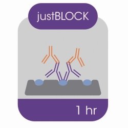Blocking solution for Western blot | Type : JUSTBLOCK, 500 ml